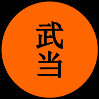 Orange Sash Kung Fu Punching and Fists