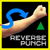 Reverse Punch