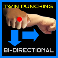 Bi-directional Punching