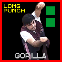 Long Punch Roundhouse
