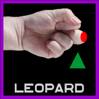 Leopard Fist