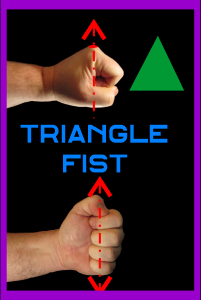 Triangle Fist